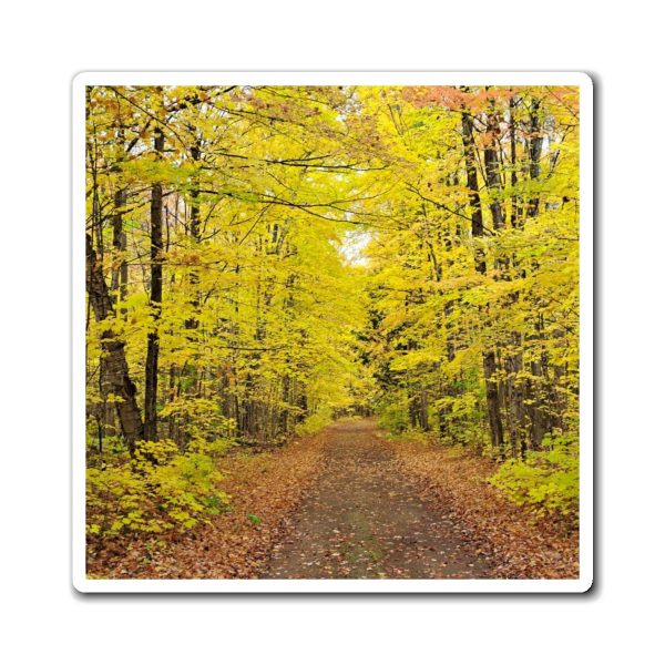 tree lined road in the fall magnet